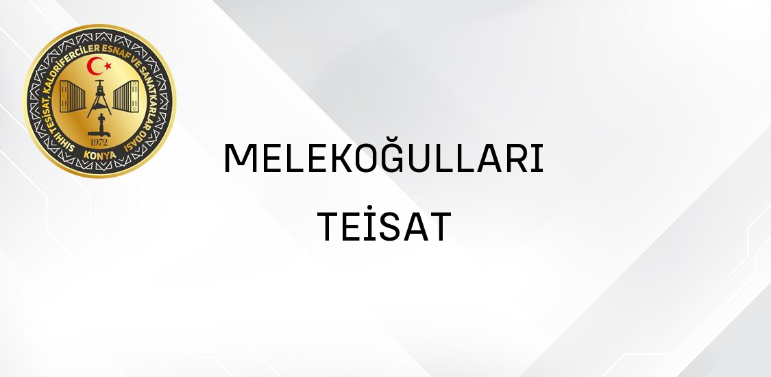 MELEKOĞULLARI TEİSAT